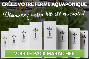 Ferme aquaponique